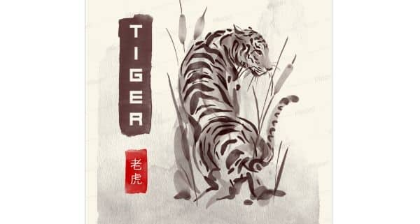 Watercolor illustration of the tiger