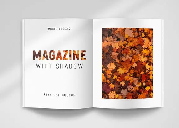 Two Magazine Mockups With A Shadow