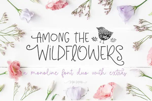 Fonts for Logo: Wildflower