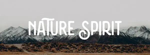 Fonts for Logo: Nature Spirit