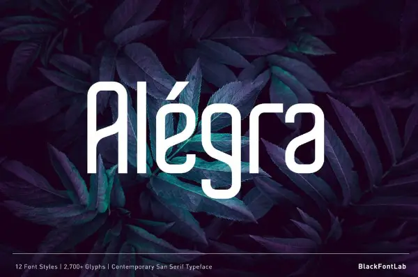 Creative Space Fonts for Designers: Alegra