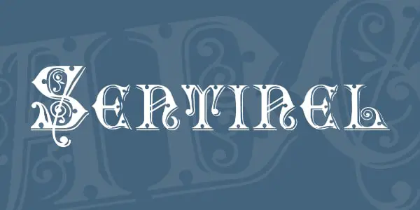 Free Retro Fonts All Designers Must Have: Sentinel