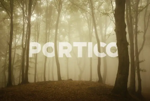 Free Retro Fonts All Designers Must Have: Portico