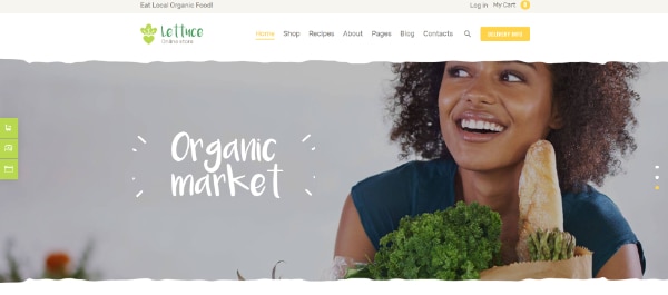 Creative WordPress Themes for Selling Organic Products: Kola