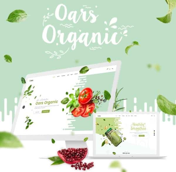 Creative WordPress Themes for Selling Organic Products: Oars