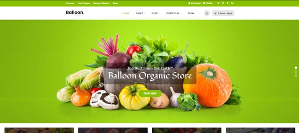 Creative WordPress Themes for Selling Organic Products: Balloon