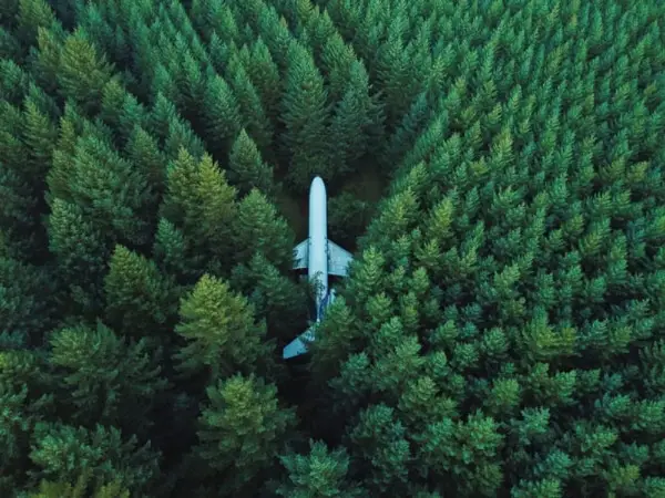 Free Surreal Backgrounds for Designers: Airplane in Forest