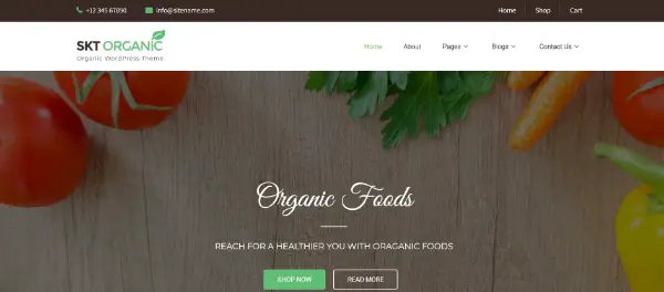 Creative WordPress Themes for Selling Organic Products: SKT Organic