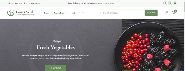 Creative WordPress Themes for Selling Organic Products: Grocery
