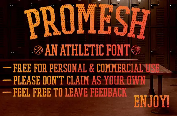 Amazing Sports & Fitness Fonts: Promesh