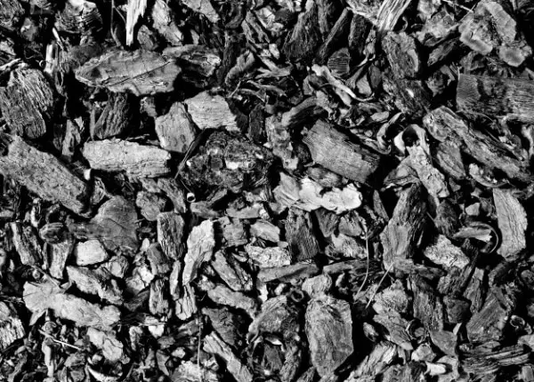 Industrial Textures for your Collection: Coal Pieces
