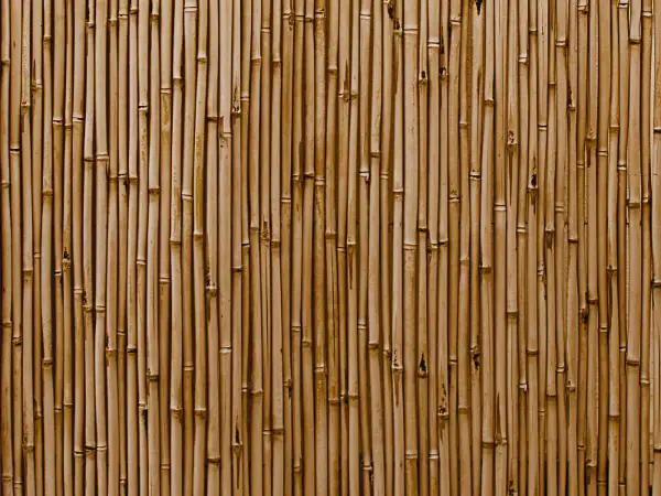 Industrial Textures for your Collection: Bamboo Wall