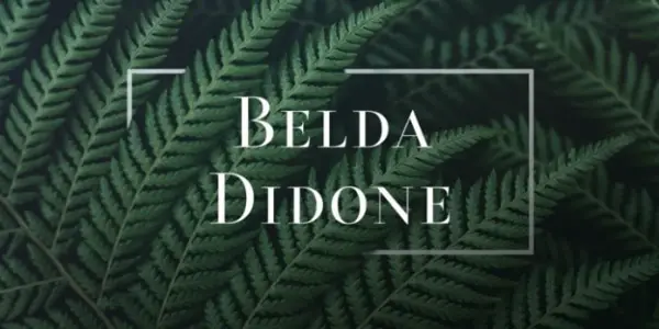 Modern Didone Fonts for your collection: Belda Didone