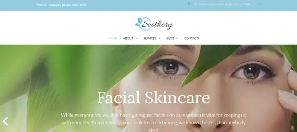 Creative WordPress Themes for Salons and Spas: Soothery