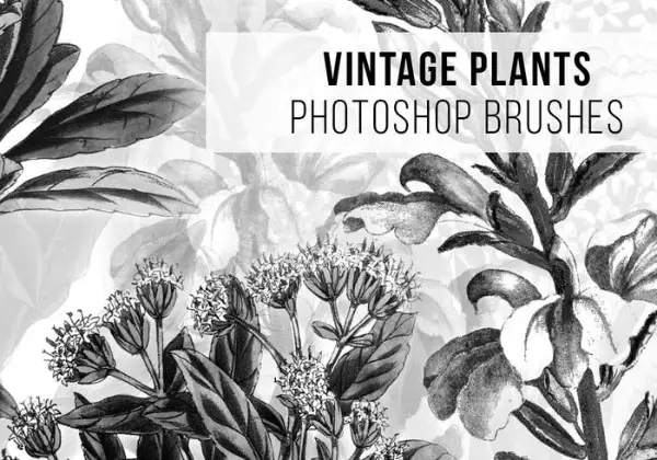 Most Useful Photoshop Brushes in 2021: Vintage Plants