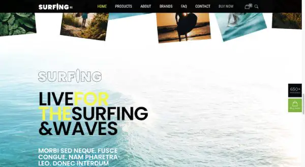BeSurfing2 Image - 5 New Web Design Trends for 2022 And BeTheme Is Ready