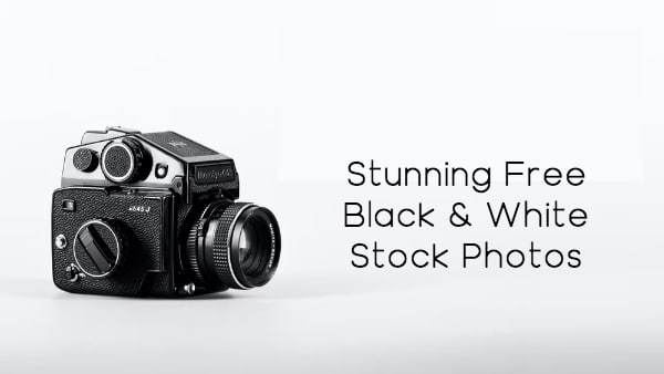 25 Stunning Free Black and White Stock Photos