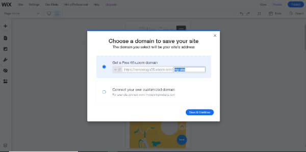 Wix Website Builder Tutorial With 10 Easy Steps: EDI domain selection