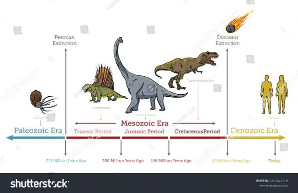 A Timeline of Dinosaurs Extinction for Educational Purposes