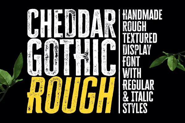 Cheddar Gothic Rough