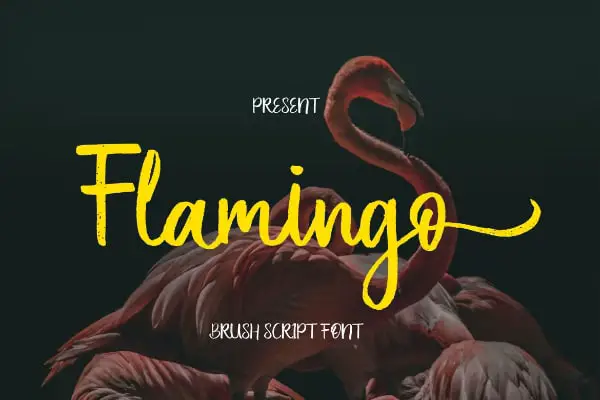 Flamingo - Best Brush Script Font