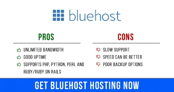 Bluehost Pros & Cons Infographic