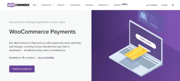 WooCommerce Payment Processing