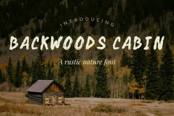 Backwoods Cabin