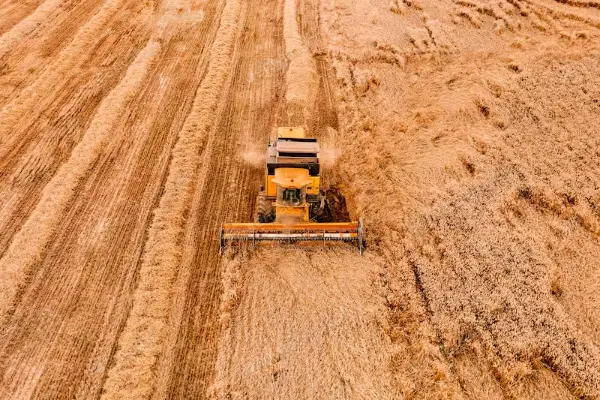 Aerial view of the combine harvester