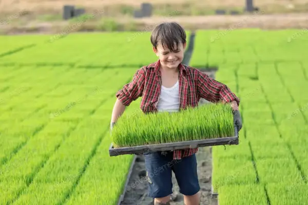 Agriculture Concept - Boy Working on Farm