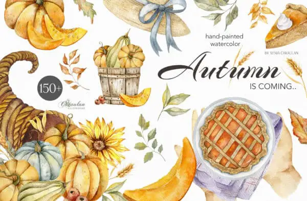 Thanksgiving Collection - Clipart & Watercolor Illustrations