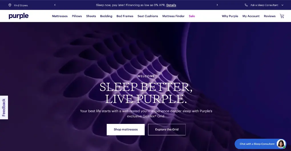 Purple Website with Intro Video