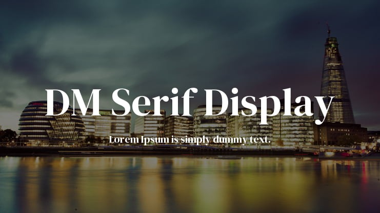 DM Serif Display Font